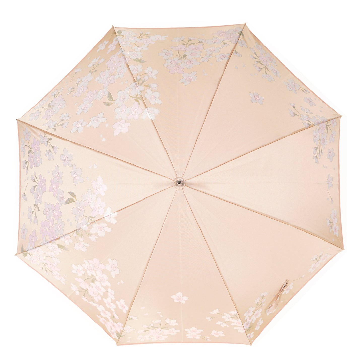 絵おり　桜（さくら）長傘